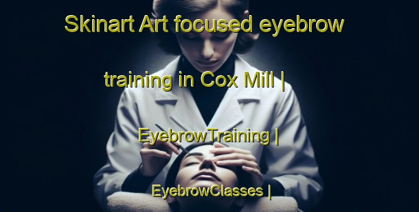 Skinart Art-focused eyebrow training in Cox Mill | EyebrowTraining | EyebrowClasses | SkinartTraining-United States